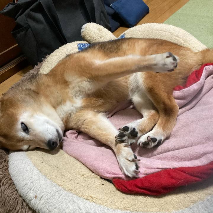 8f17ae4c f69c 4500 8361 40527c911e57 1669164762744