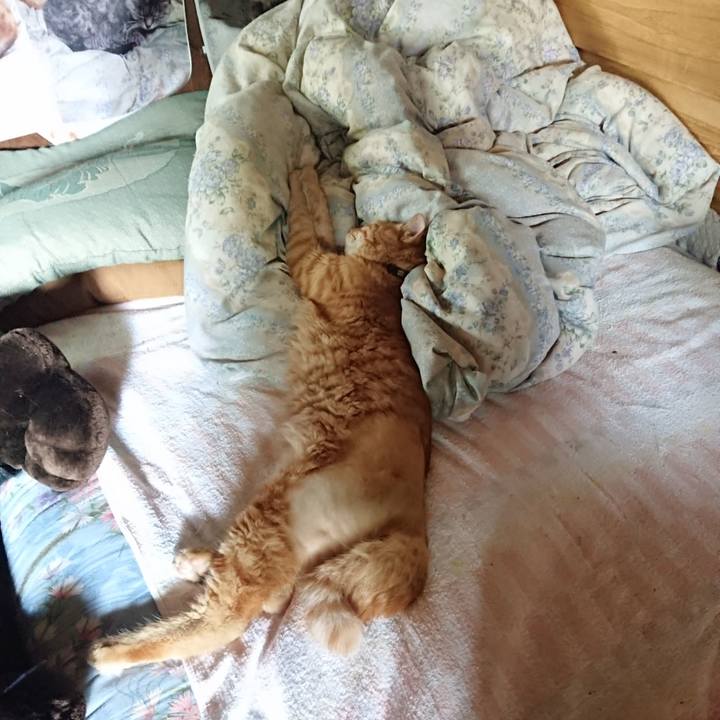 8f17b2fb 031b 41a9 85fb 62be5640112b 1658902184714