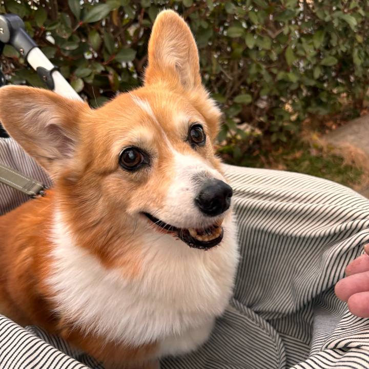 8f17c1e4 e35c 4346 bca4 0c84bf6cfeee 1767166525814