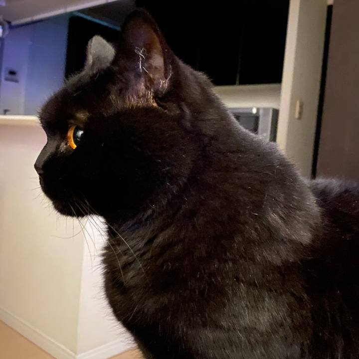 8f17feef ca00 42d0 a975 32214234712c 1679834077770