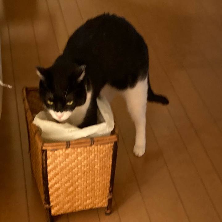 8f18188a 14df 4797 9b6f 83584e4d283b 1703560389353