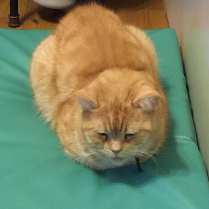 8f187a43 93ac 42f2 9a23 be74372d88b0 1554044688948