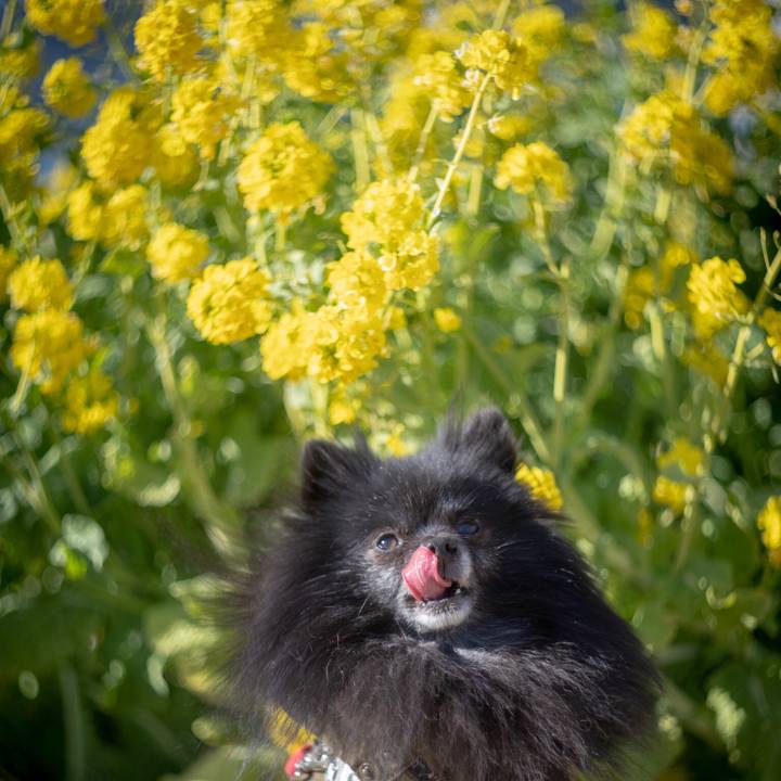 8f1889cf 2cf2 42fd aefe be80b1b95460 1548603006509