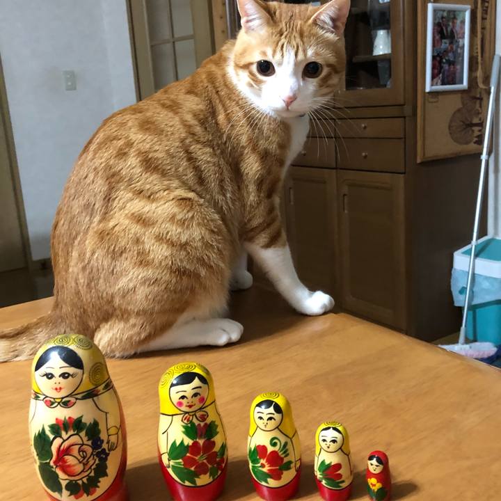 8f18a8eb 13aa 4fb1 809f 2f9571be855c 1512125937057