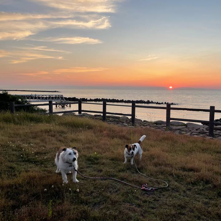 8f18d3c6 842b 4d2d ba34 d354fa3a9fe7 1749731862585