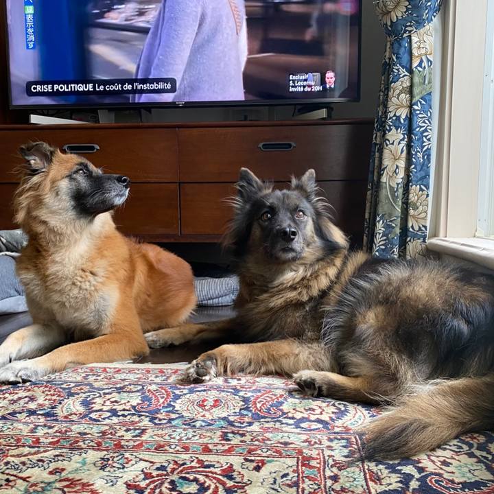 8f191947 24a9 4683 90b8 77c040d55c3f 1760949795317