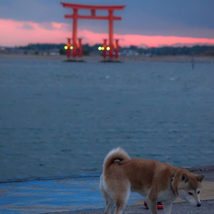 8f19b4bf 1a81 4ebd 98de 54f31b01750b 1515661468330