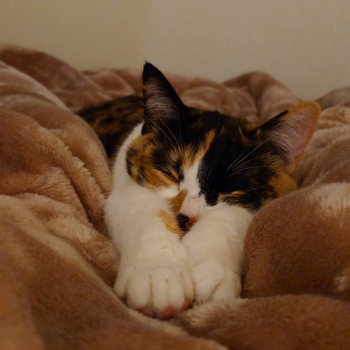 8f19b730 4aed 4e83 a21d 4e669321517c 1771592390380