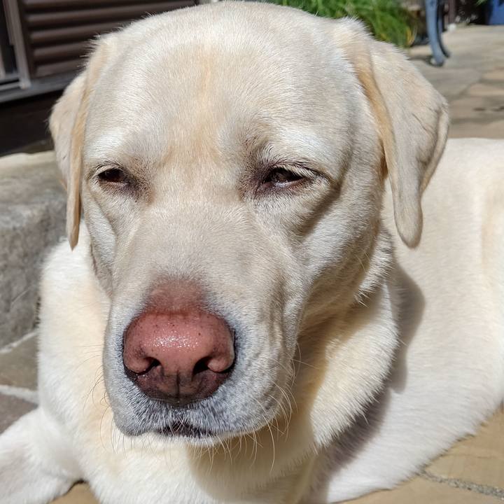 8f19f044 8aab 4eaf a649 bbcef2ea6ca1 1599806479640