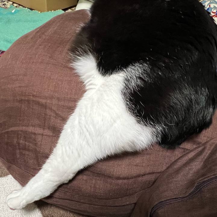 8f1a0345 2661 4e48 902b 107796c68dcc 1771153509356