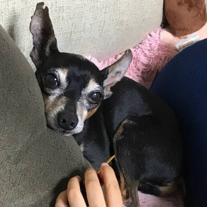 8f1a3815 9046 4864 a12d 4a3f5137135a 1569655951468