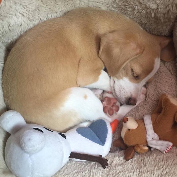 8f1a5bc8 f022 479d 8de2 f09c1485ea30 1550658809615