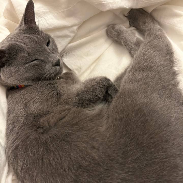 8f1a630c b63a 4962 80a6 1eadbe1f84d8 1729304947075