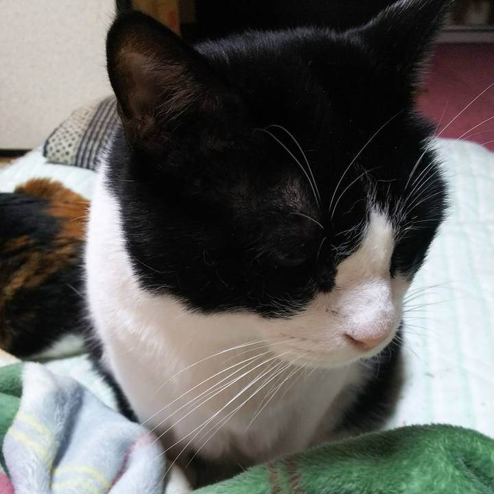 8f1a8613 1b97 4ac6 bf9e 3949d8112482 1541295453479