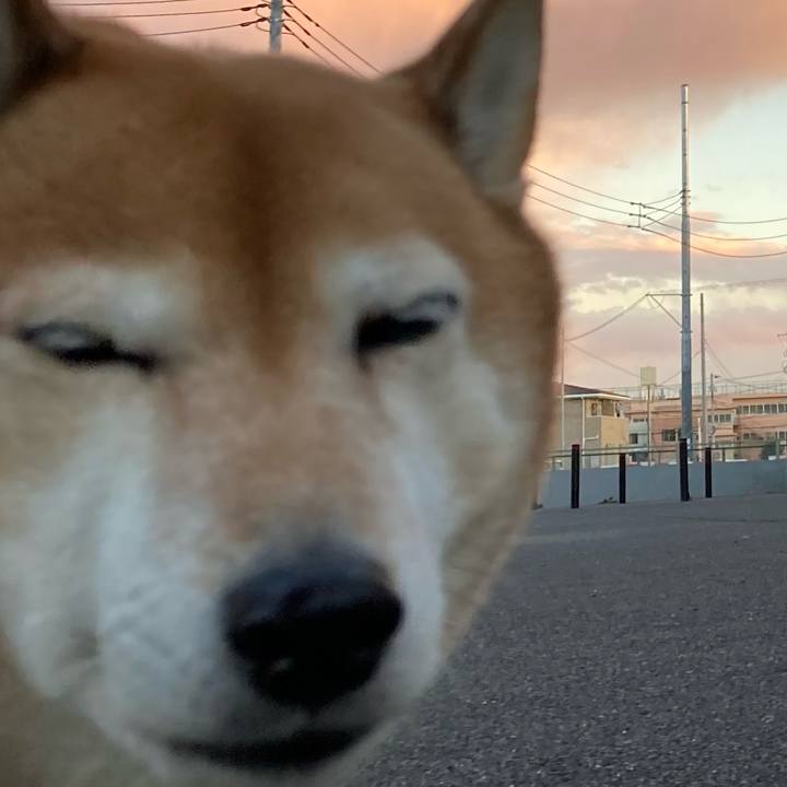 8f1ac117 48f9 4e95 93f2 2fa13639e587 1640851051422