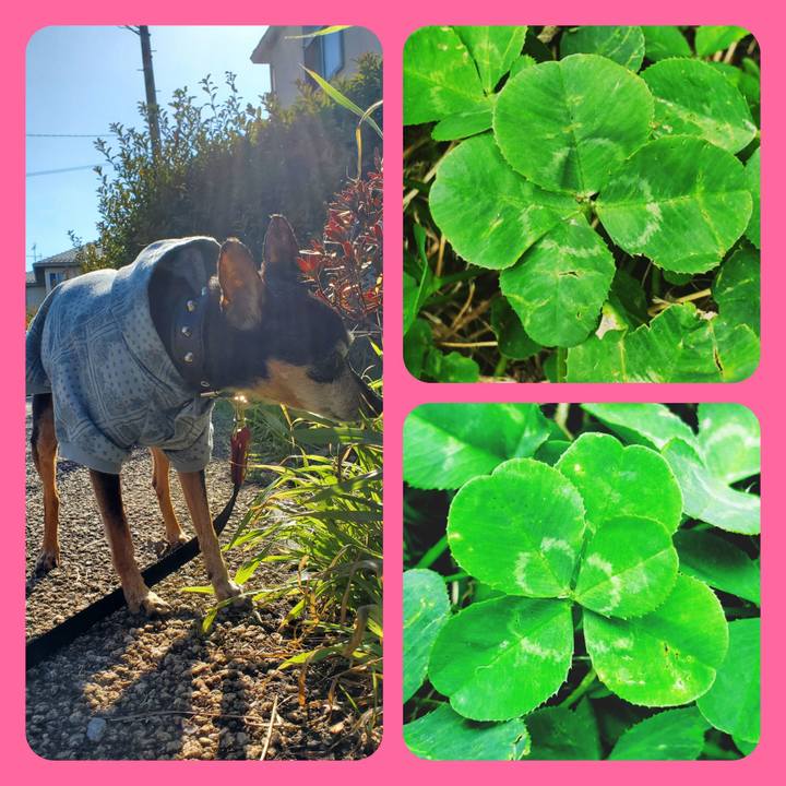 8f1ad37b 8df2 4c05 a93c a729d911e1c2 1748013195227