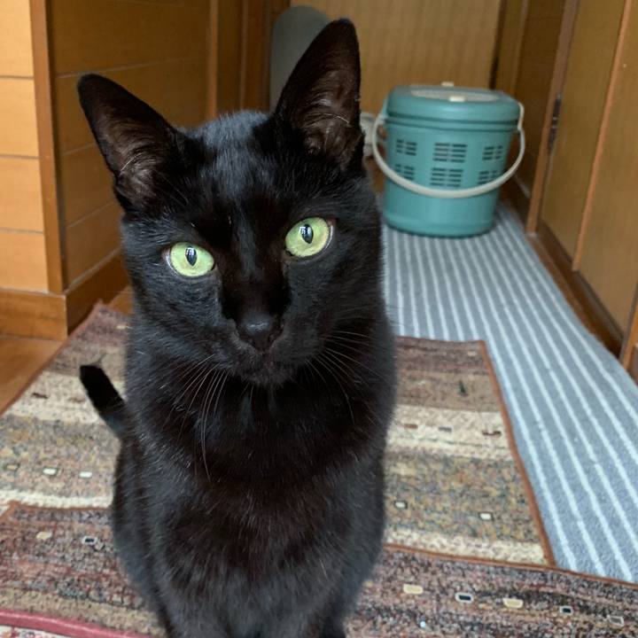 8f1aeaff e5a5 4c28 a4f3 ac0fc1188a9f 1542675118686