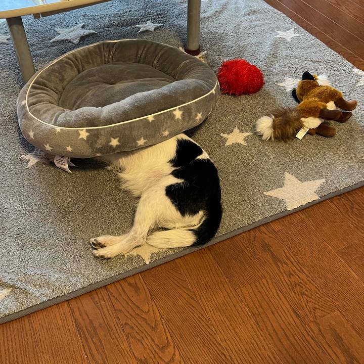 8f1aee69 2e58 424d af74 ada6ed576191 1675506916007