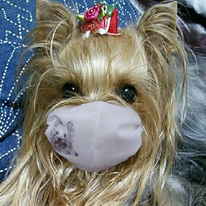 8f1af323 d3e0 428d a5fc a79b9ebb95d5 1643992370409