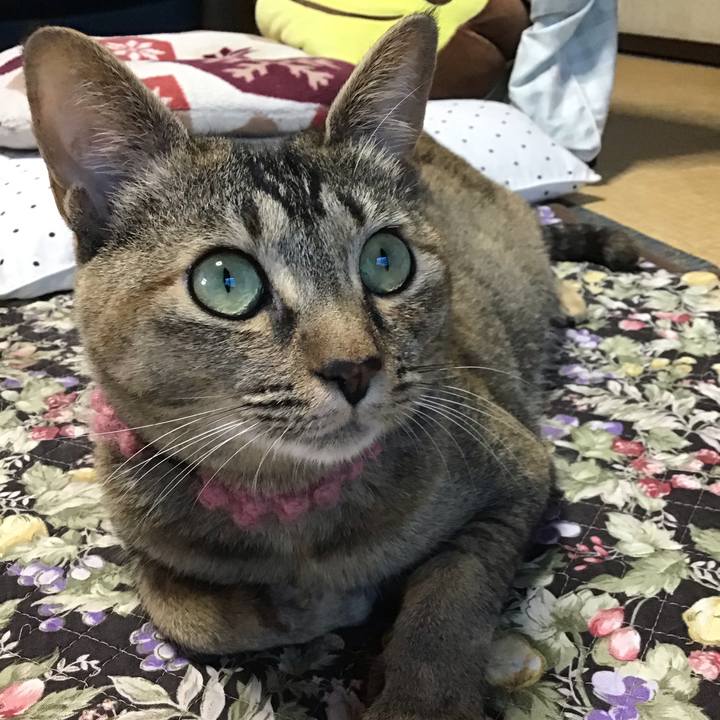 8f1b1aa0 d60d 4712 a56d 8ebf2ecec37b 1594093409959