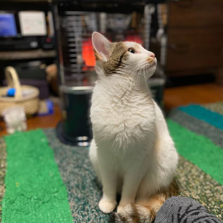 8f1b3d4d 17c0 43aa 9740 961c62a7375e 1609717940564