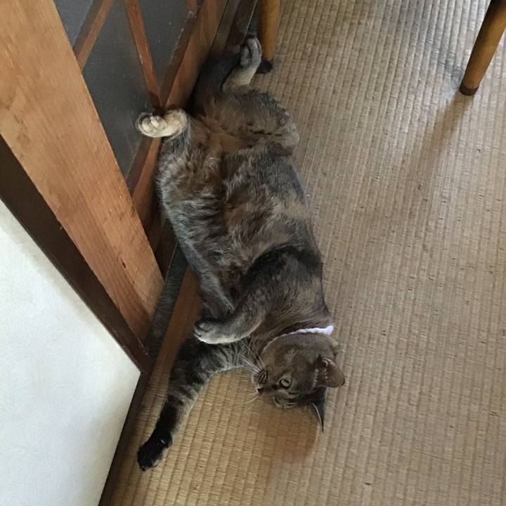 8f1b5661 d469 49c7 a860 48e81058e6c2 1754298874412