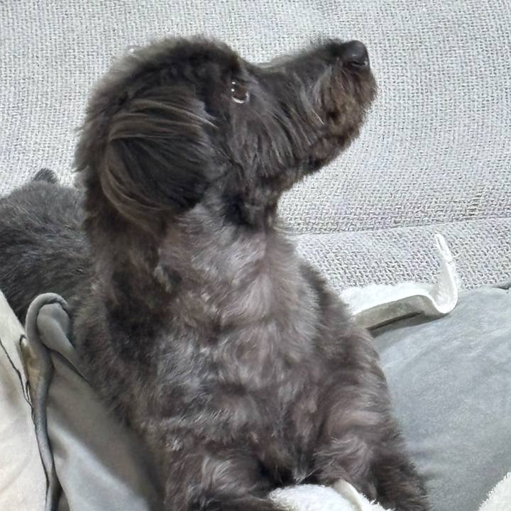 8f1b5731 8c3a 43c4 a4a9 1e823833de78 1755437752518