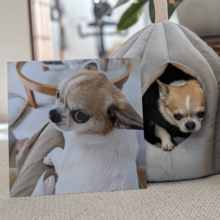 8f1b57d1 e3dd 42a5 906d e8bbaaa1c9fe 1763254076234