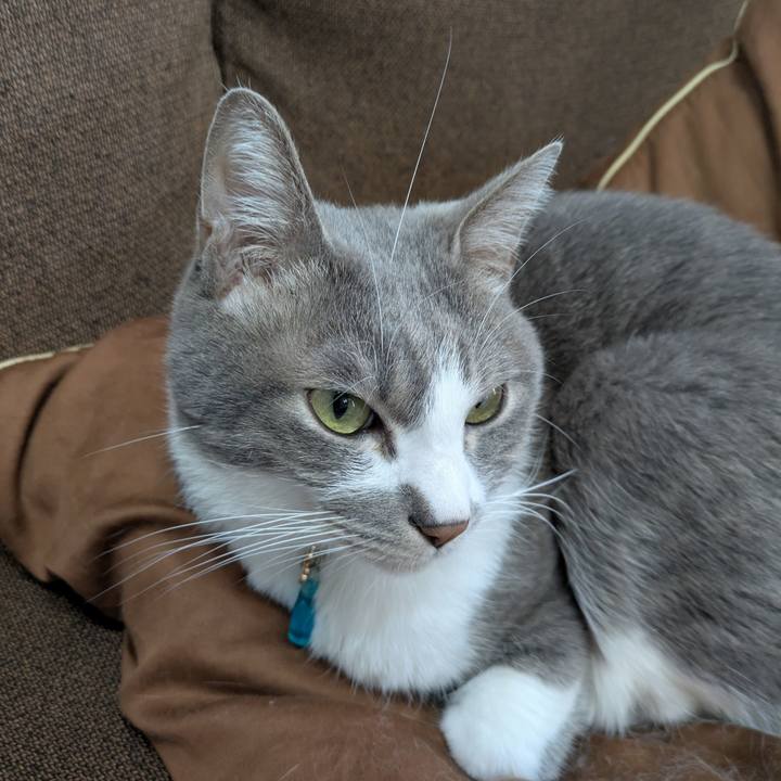 8f1b80df 69db 4def a214 a26ec4192810 1738559723519