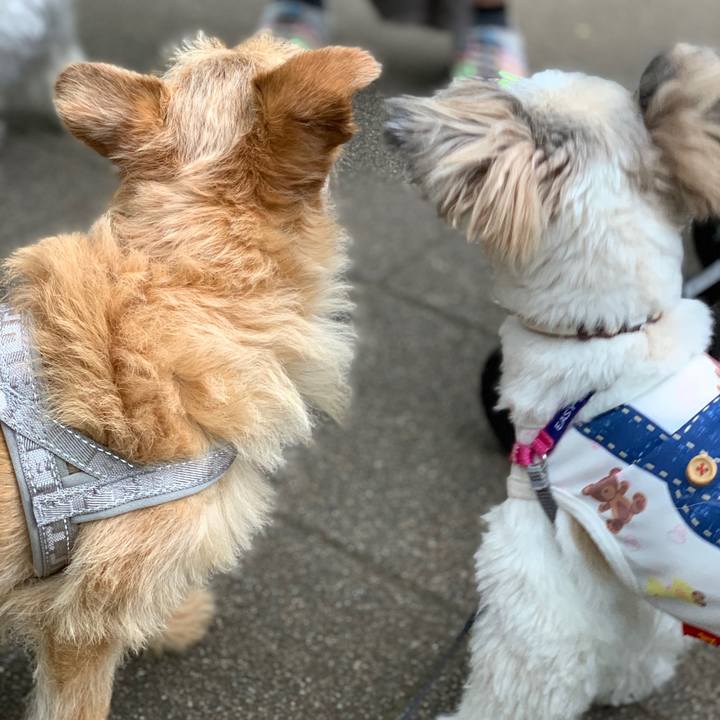 8f1b9db7 c03d 41d3 90da 539b0931d7e3 1604962717441