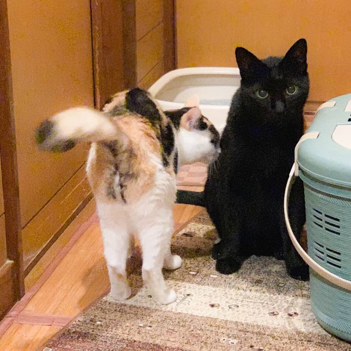 8f1ba3e0 98f2 4752 a09d f55240204e95 1568599701493