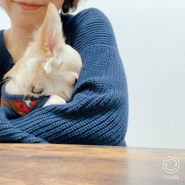 8f1bed80 bf1f 49f2 b9dd 842420245e7a 1607411388015