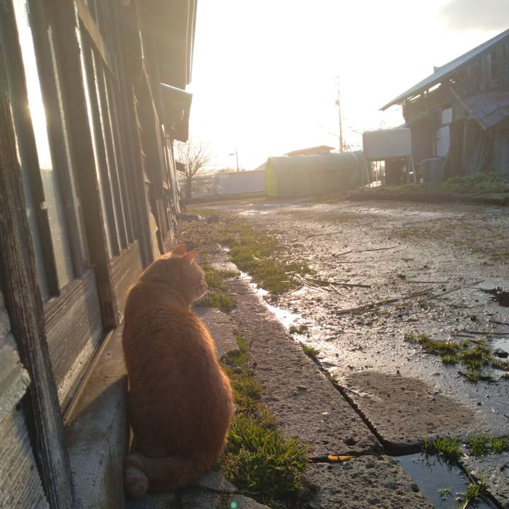 8f1bf9ac 221f 4231 a3af fe5f03f47112 1679868368176