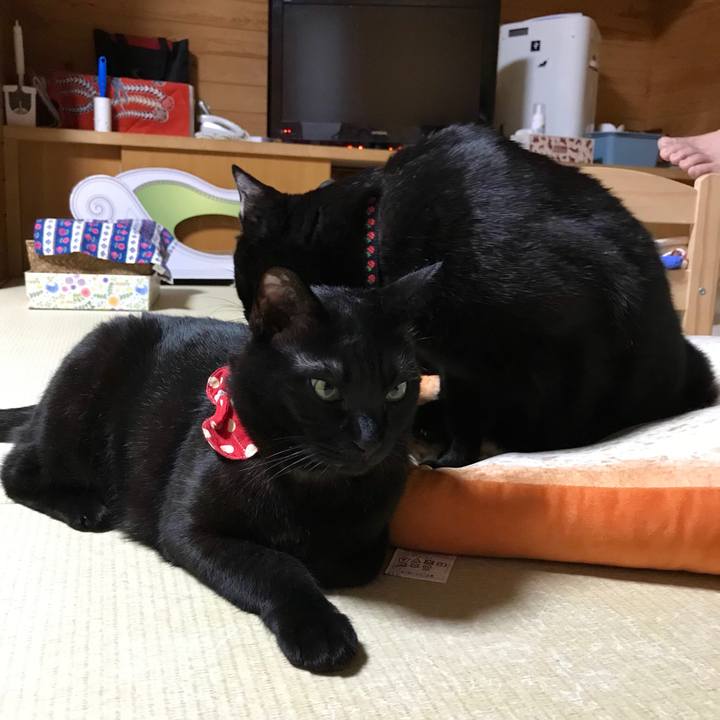 8f1c004b e27f 4e37 a6a7 2320b6cfe3f5 1549288493806