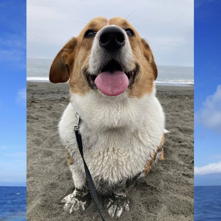 8f1c1ad6 f13a 432a 9746 09e91327d2e1 1716166345676