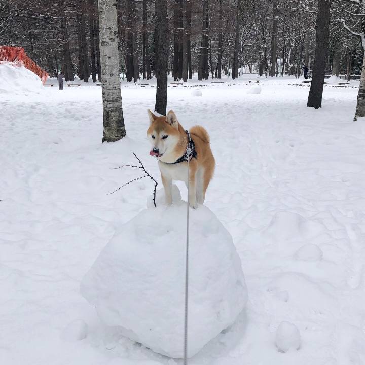 8f1c4512 2887 47a2 a602 e10c46dcb074 1579999213553