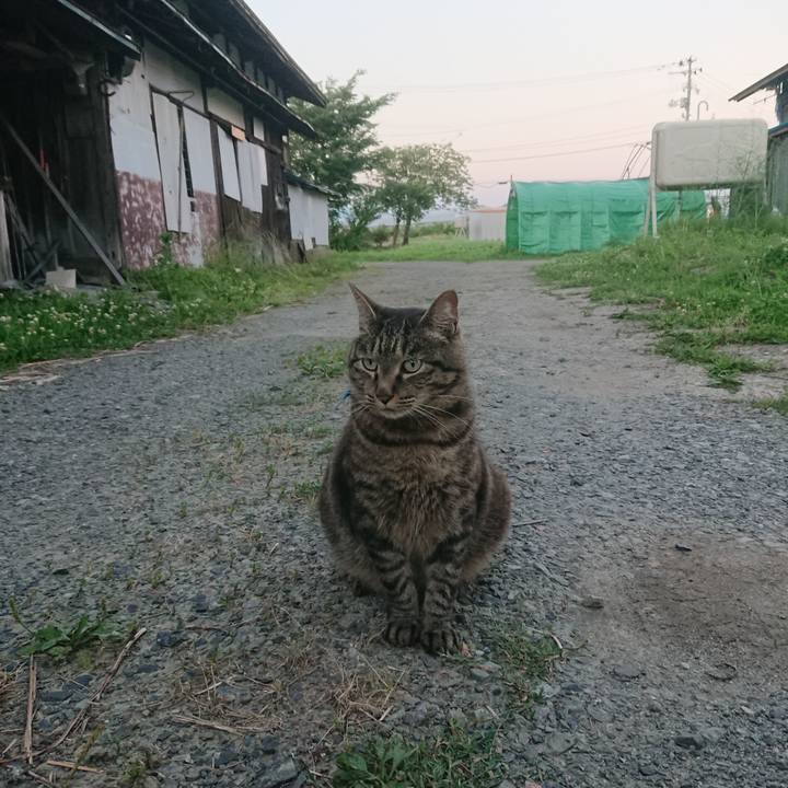 8f1c4af8 17de 4a29 b155 cf89775747d8 1656585467985