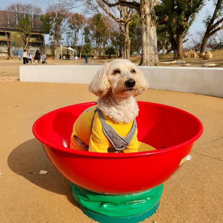 8f1c727b 9dd3 4a10 91f9 767209c21be7 1768102919800