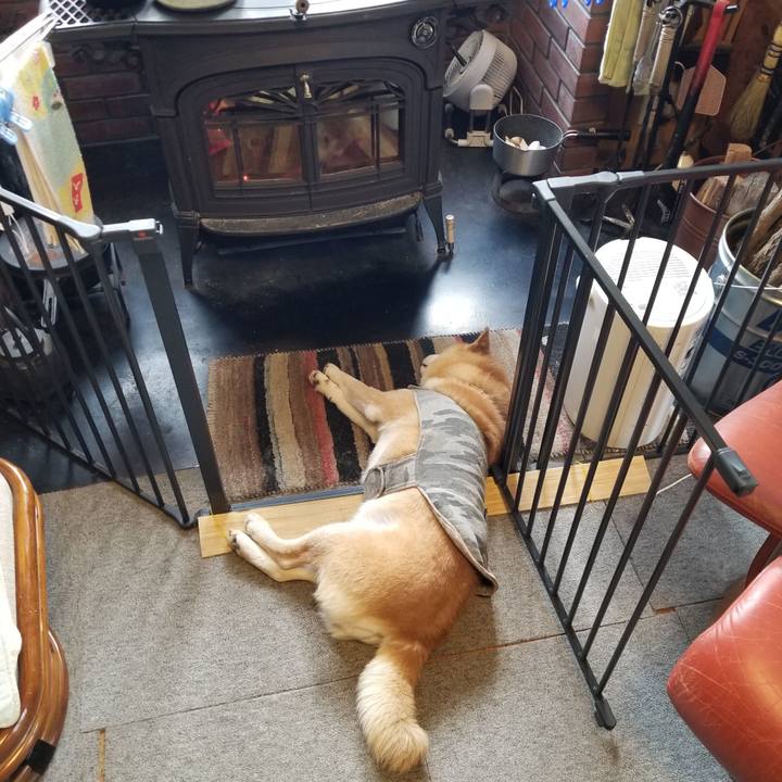 8f1c8216 27ea 4ad7 91fe 51335ccdcce7 1645226266820