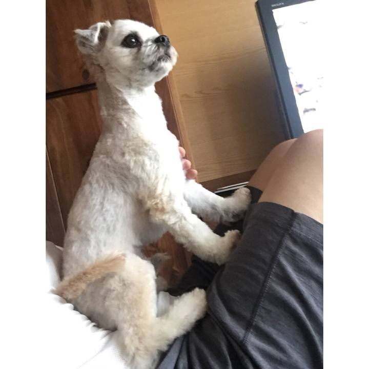 8f1c823c bce9 454b 82cb c23b60c1acbf 1533967282398