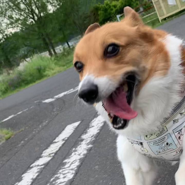 8f1c82b7 18aa 4f85 9a8d a5c3b1cfd486 1651044487973