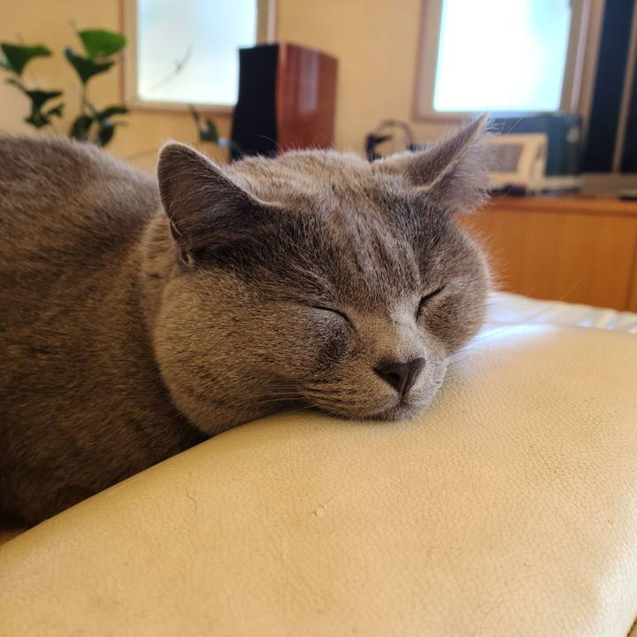 8f1cb7fd 50d0 472c a7b5 4ab404ecc8b4 1604544420392