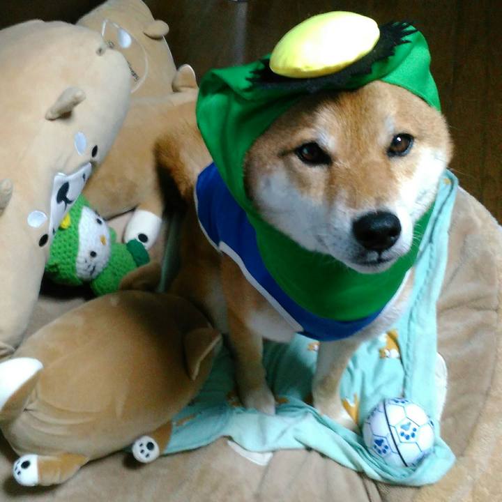 8f1cc902 7dd1 4dc1 9d1d a23ed2f0a7ef 1530536366977