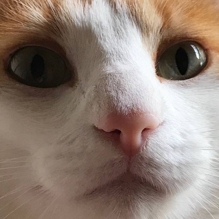 8f1cc984 6f10 407a 9493 a0a9e7270846 1529286915167