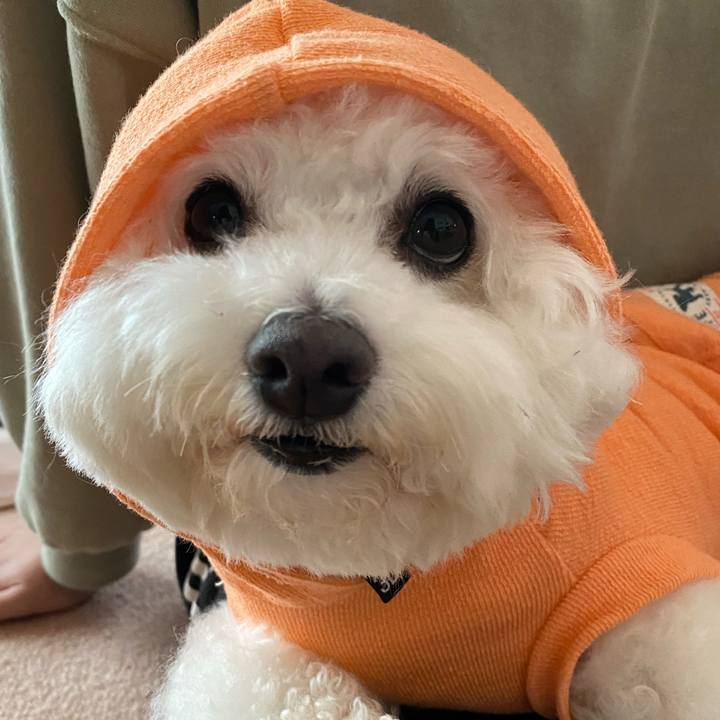 8f1cd25b 7b36 420f abe6 b58722c484e1 1623558855604