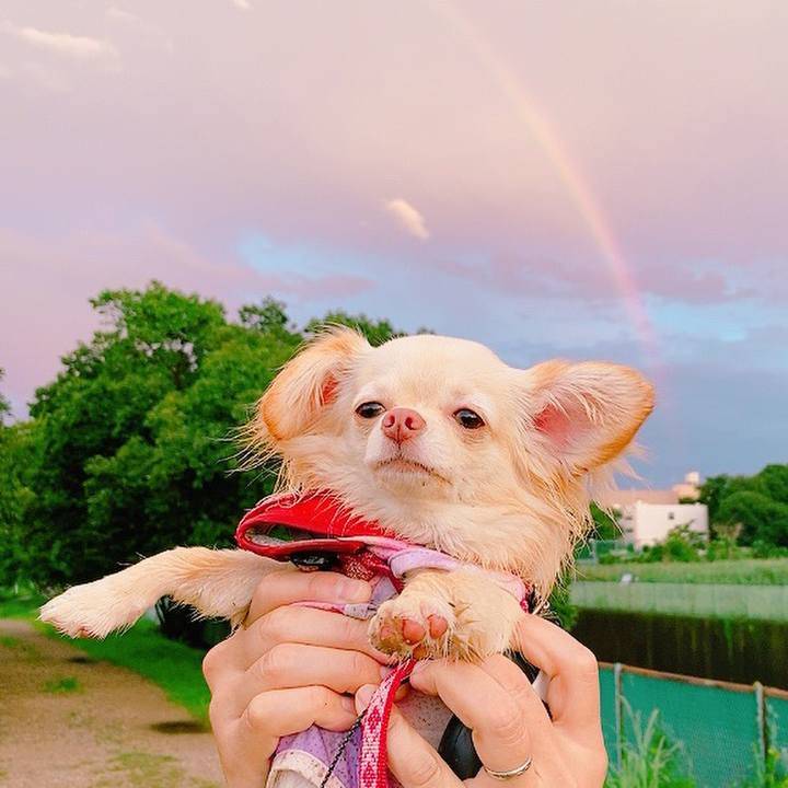 8f1cd4fb c856 461c aa36 207cb581a14f 1625997065108