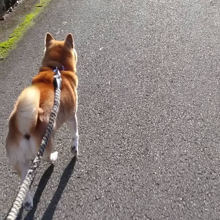 8f1d1204 4cbb 416b 80fd c10e8f532f9b 1707262772276