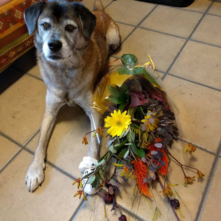 8f1d50f7 bdee 4ae3 865e a41a742689ce 1541304567437