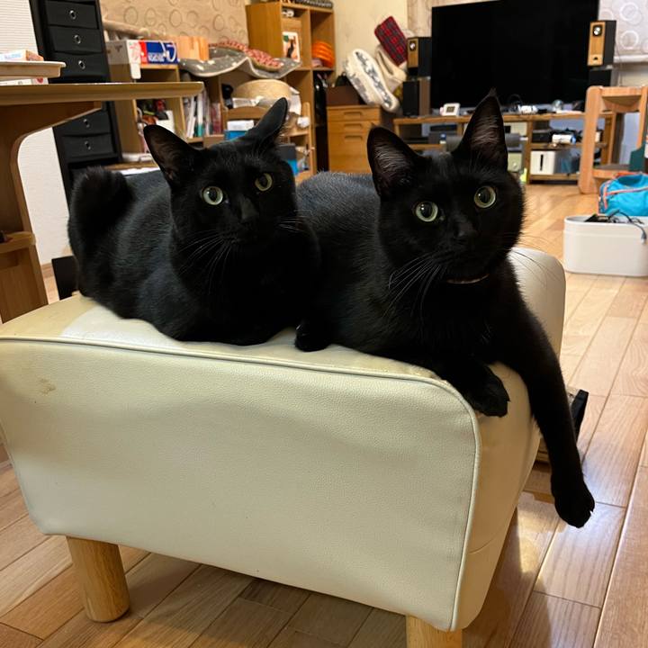 8f1d5d6e a370 40f4 9309 b06f58f8fb73 1683466854427