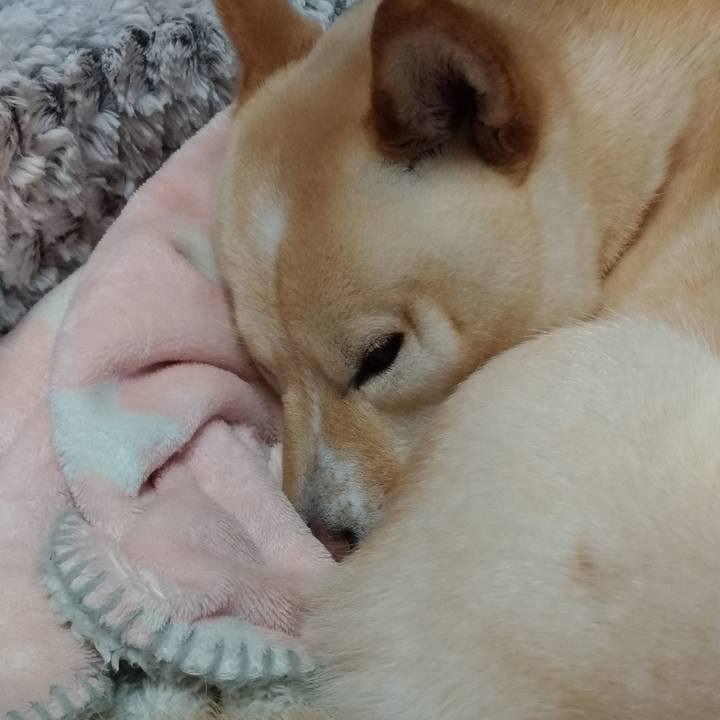 8f1d78b2 1d24 4d72 b230 72e4ea56b444 1580975666616